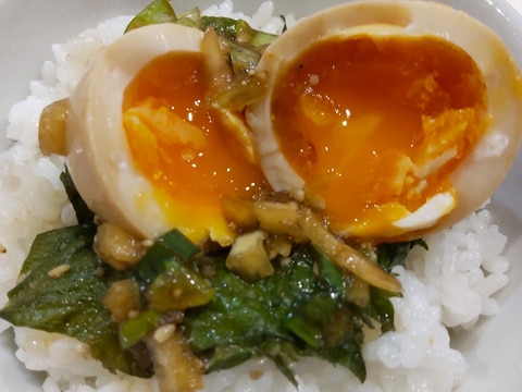ご飯が進む☆卵&大葉漬け